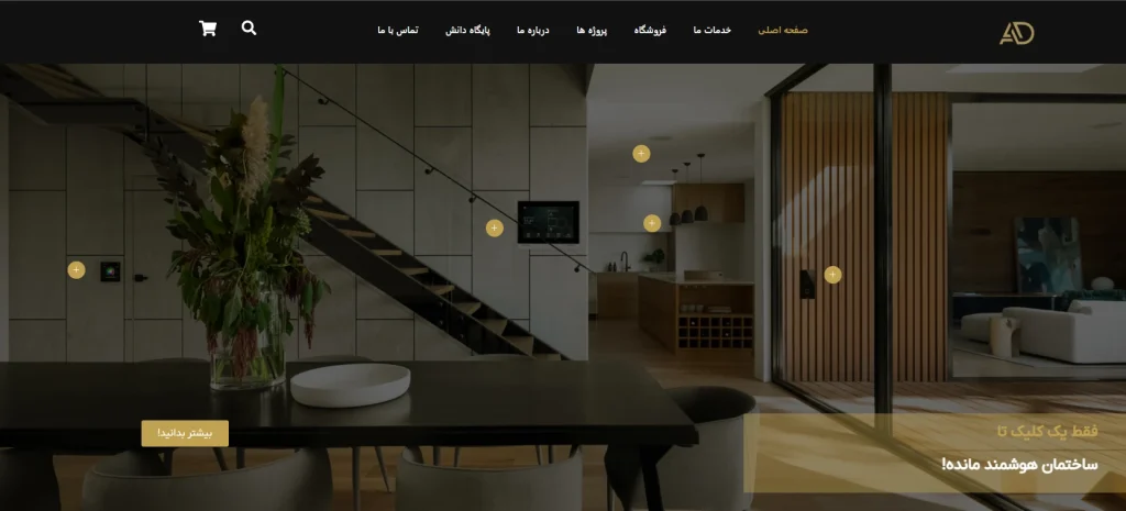 نمونه کار طراحی سایت آدیرا
