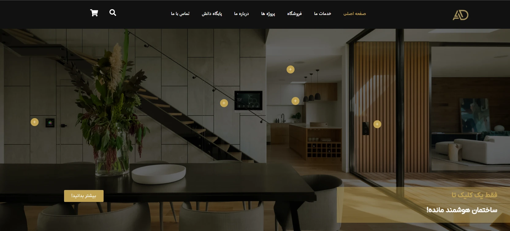 نمونه کار طراحی سایت آدیرا